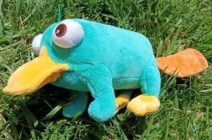 Disney Store Perry The Platypus Bean Bag Plush Phineas & Ferb Agent P EUC